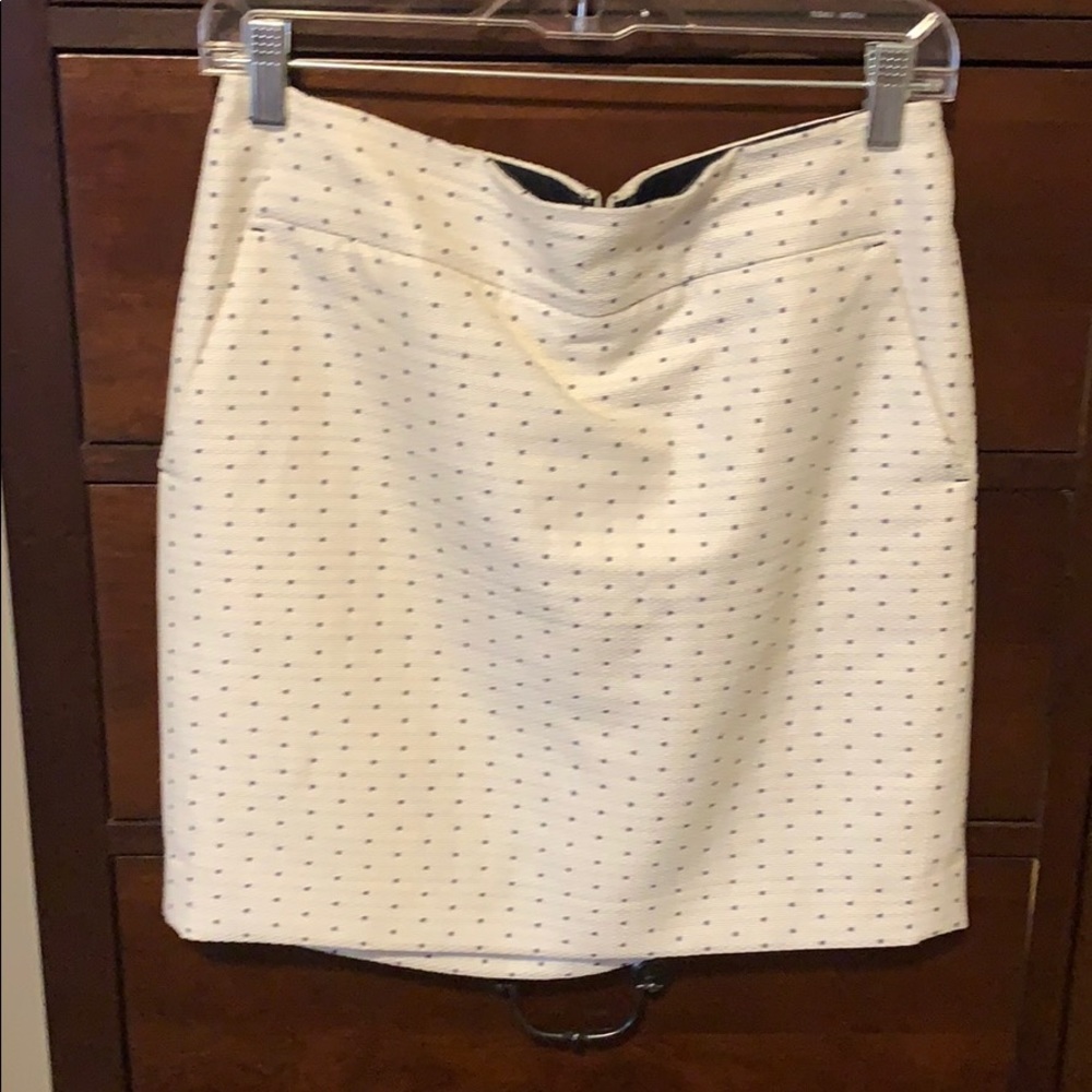 Ann Taylor skirt